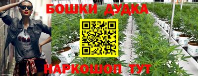 гашик Усть-Джегута