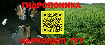 гашик Усть-Джегута