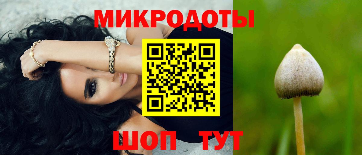 Камень-на-Оби  купить  сайты  Вход с VPN  Псилоцибиновые грибы ЛСД  Псилоцибиновые грибы Cubensis 